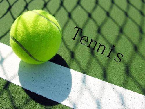 辱骂或故意 辱骂或故意